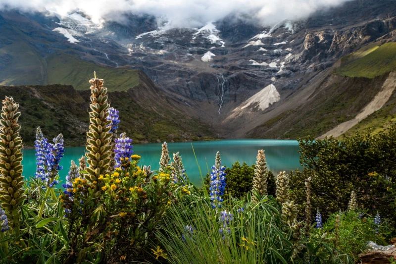Inca Trail vs Salkantay Trek